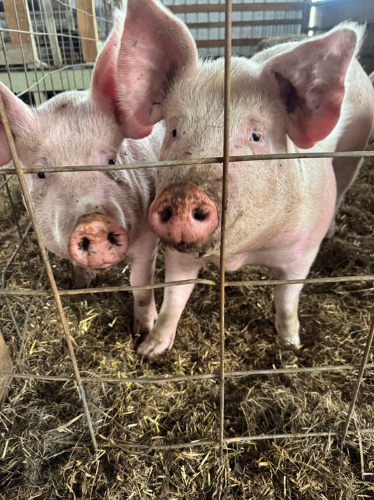 Half Pork (DEPOSIT)